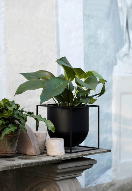 Kubus Flowerpot 23, sort fra Audo Copenhagen - 2 - Jacobsen Plus