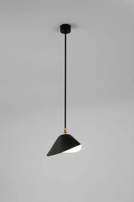 Ceiling Lamp Bookshelves af Serge Mouille - 2 - Jacobsen Plus
