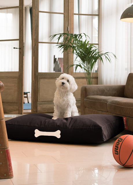 Doggielounge L Canvas Recycled - Hundekurv fra Fatboy - 1 - Jacobsen Plus