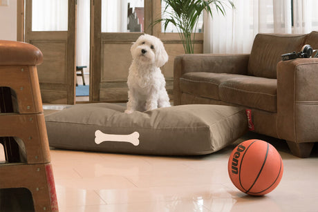 Doggielounge L Canvas Recycled - Hundekurv fra Fatboy - 1 - Jacobsen Plus