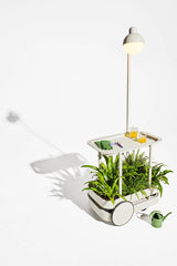 Jolly Trolley fra Fatboy - 10 - Jacobsen Plus