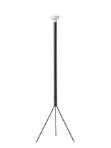 Luminator Gulvlampe fra Flos - Anthracite - Jacobsen Plus