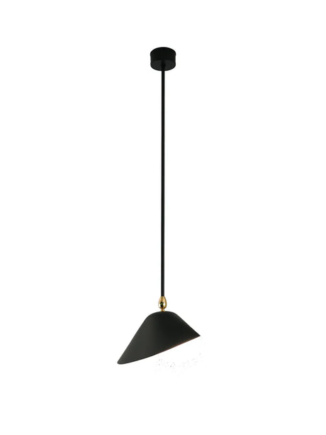 Ceiling Lamp Bookshelves af Serge Mouille - 1 - Jacobsen Plus